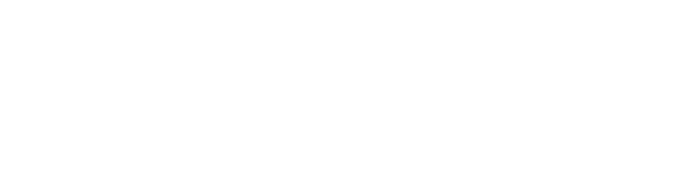 Striker Solutions Srl