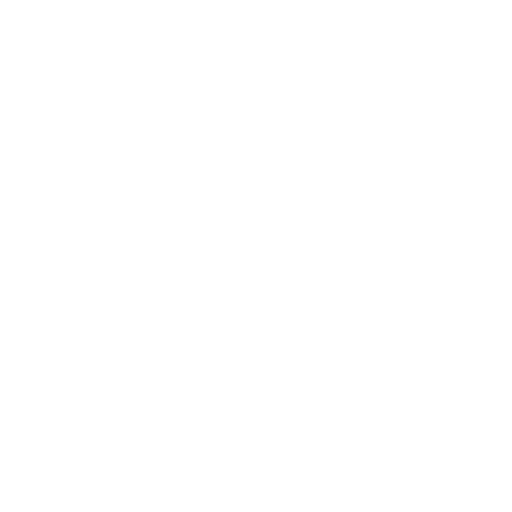 Optic Fiber